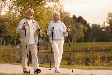 Fototapeta premium Senior man and woman performing Nordic walking outdoors, space for text