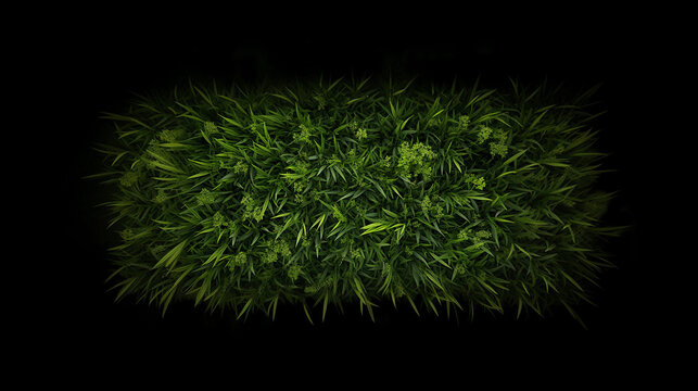 Grass Pattern Images Browse 1 056 Stock Photos Vectors and Video