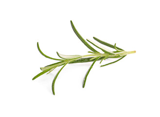 Obraz premium Sprig of fresh rosemary isolated on white