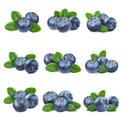 Set with fresh blueberries and green leaves isolated on white