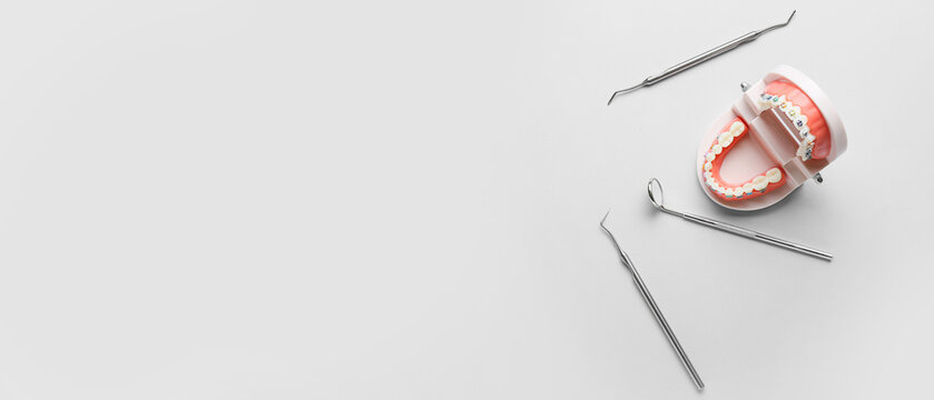 Model of jaw with dental braces and dentist's tools on light background with space for text