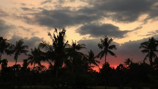 time lapse video of clouds and sunset sky in rice fields, with coconut tree, jawa timur Indonesia 