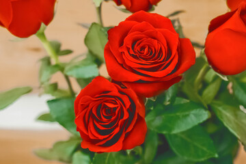 Bouquet of red rose flowers with green leaves on a wooden background, close up