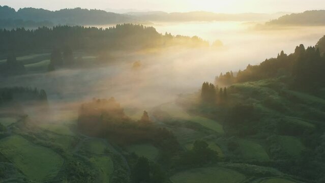 星峠の棚田 雲海と朝日 ドローン動画素材【新潟県・十日町】