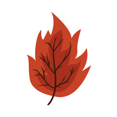 autumn season leaf nature