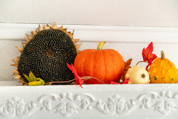 Autumn composition with pumpkins in the interior of a bright living room