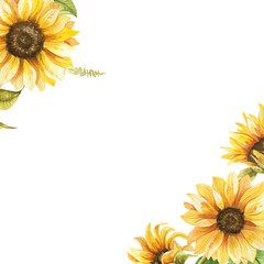 decorative watercolor sunflowers border transparent background frame