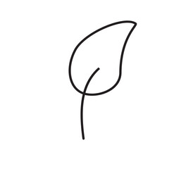 Fototapeta premium black and white leaf