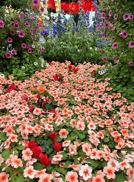 a photography of a garden with a lot of flowers and a red umbrella, glasshouse with a garden of flowers and a clock in the center.