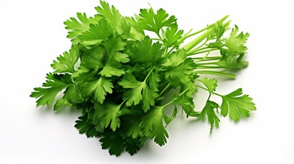 Create an elegant image showcasing the intricate details of a cluster of fresh parsley on an isolated white background.