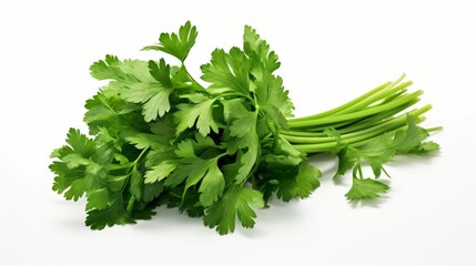 Create an elegant image showcasing the intricate details of a cluster of fresh parsley on an isolated white background.