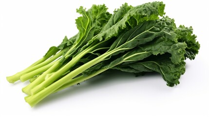 Generate a lifelike picture of a bundle of green kale leaves on an isolated white surface. - Powered by Adobe