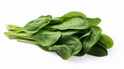 Produce a lifelike picture of a bundle of green spinach leaves on a white isolated canvas.