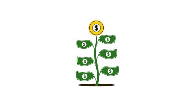 Money tree design animation concept - symbolizing money and financial growth