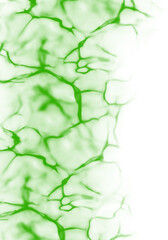 Green water texture. Water texture with transparent background. Backgroundless water print.