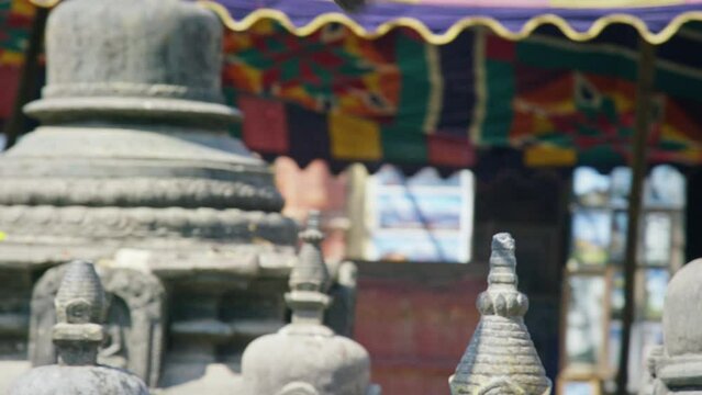 Close up on pidgin flying off - slow motion