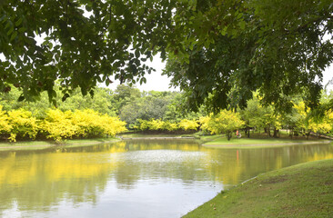 Beautiful trees and lake in a Bangkok park, Thailand