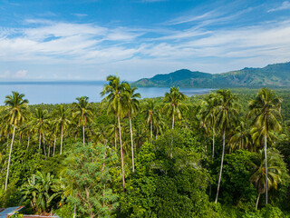 Fototapeta na wymiar Topical landscape with rainforest and blue sea. Blue sky and clouds. Mindanao, Philippines.