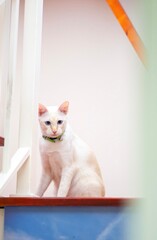 What are you looking at 