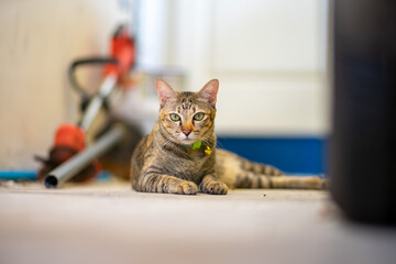 Waiting on my friend 