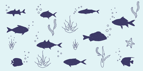 some animals in the sea such as fish species - obrazy, fototapety, plakaty