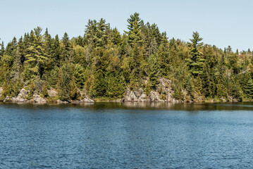 View on the Forest near lake in La Mauricie National Park Quebec, Canada on a beautiful day