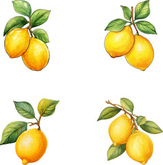 Lemons vector watercolor illustration set, Lemons 3D realistic icon