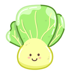 Chinese Cabbage Hand drawn Illustration 