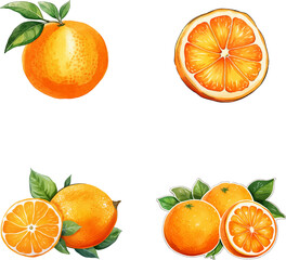 Orange vector watercolor illustration set, Orange 3D realistic icon