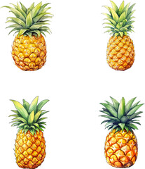 Pineapple vector watercolor illustration set, Pineapple 3D realistic icon