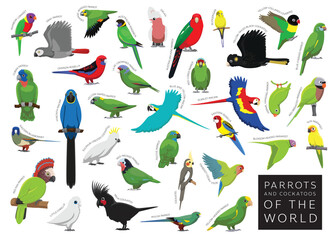 Birds Parrots and Cockatoos of the World Set Cartoon Vector Character