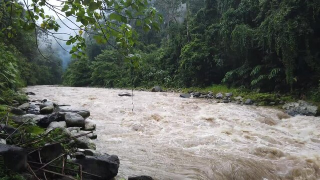 Shot of a large muddy river inside a rainforest.

Shot on Sumatra, Indonesia