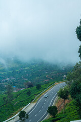 Munnar, Kerala, India.