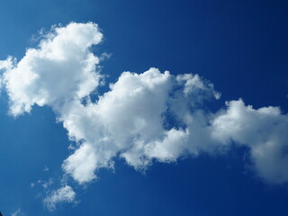 Blue sky painted with white fluffy cloud, in the afternoon break.