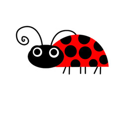 Fototapeta premium ladybug on a white background