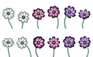 Colorful hand-drawn cosmos flower illustration collection isolated on transparent background, botanical art, line art style
