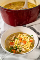 Chicken Noodle Soup