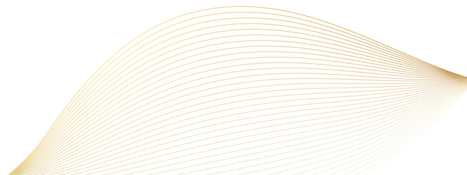 Abstract technology and science flowing golden wave curved lines on transparent background. Luxury golden gradient wave lines for banner, template, business, web, flyer, card, poster, presentation.