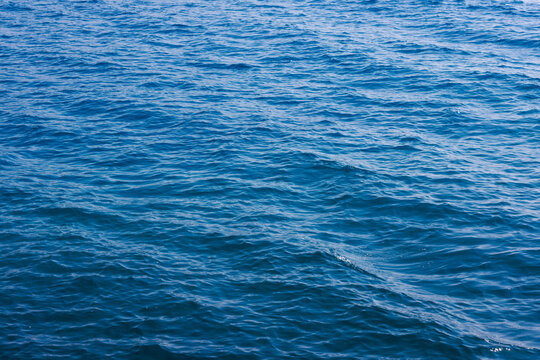 generic boundless sea water surface, only blue water at day time with mild ripple vawes.