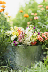 Assorted fresh cut flowers in a tin bucket sitting in a garden © Cavan