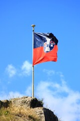 Ragged flag of the city of Blankenburg in Germany, blowing in the wind