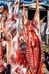 Hanging reindeer meat after slaughter