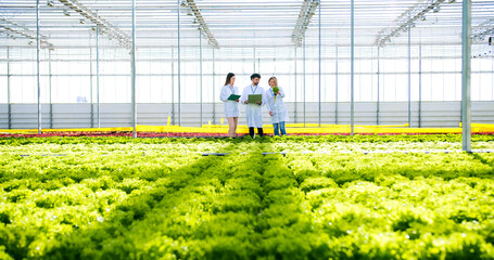 Group of researchers with wireless laptop and clipboard walking through professional ecological greenhouse and analyzing plants. Farm workers inspecting greenery during harvesting season.