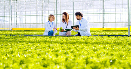 Team of caucasian agronomists using tablet and clipboard while working at hydroponic plantation....