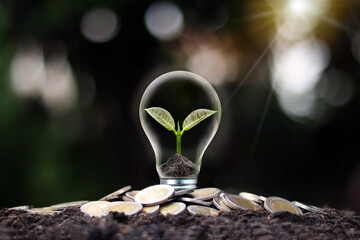 A tree growing in a light bulb and a pile of money. Money growth concept and energy business investment.
