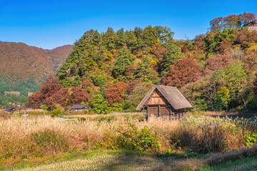 Shirakawago village Gifu Japan, Historical Japanese traditional Gassho house at Shirakawa village in autumn foliage season
