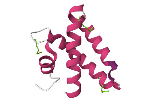 Crystal structure of human saposin A. 3D cartoon model, PDB 1n69, secondary structure color scheme