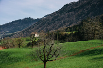 Beautiful nature view beside the railway seen from Rigi bahn cogwheel train on the way from Arth town to Rigi Kulm in Switzerland.