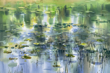 Water grass with reflections on a pond watercolor background - 647982073