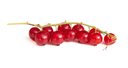 Berry red currant isolated on white background. Close-up